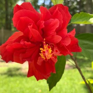 Meet your Posher, Ruth